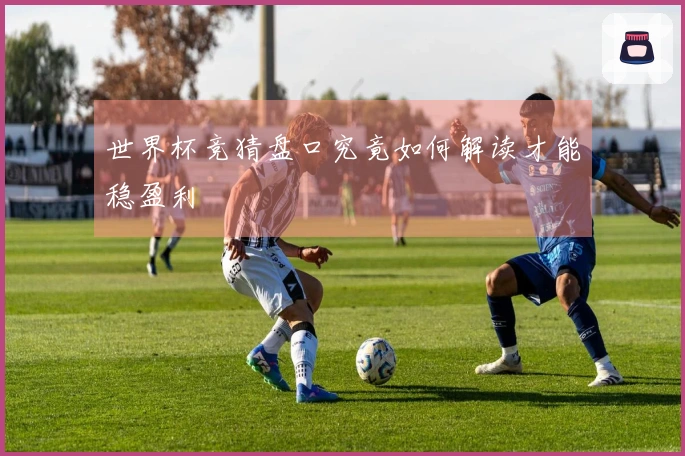世界杯竞猜盘口究竟如何解读才能稳盈利