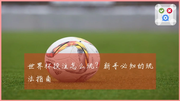 世界杯投注怎么玩？新手必知的玩法指南