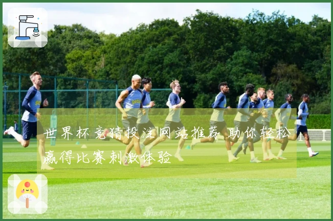 世界杯竞猜投注网站推荐 助你轻松赢得比赛刺激体验