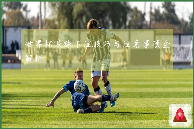 世界杯滚球下注技巧与注意事项全解析